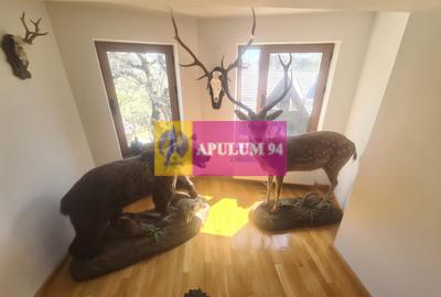 Vila de vanzare in Breaza - Zona Breaza de Sus - 38