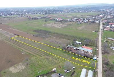 Teren intravilan 1.308mp + 3.008mp extravilan in Urechesti de vanzare - 2