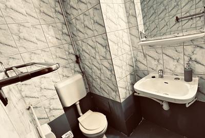 Bulevardul Unirii intersectie Strada Traian - 3 camere mobilat elegant - 9