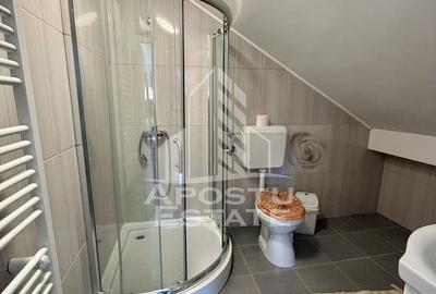 Apartament cu 3 camere, la casa, de inchiriat, Aradului, Timisoara - 14