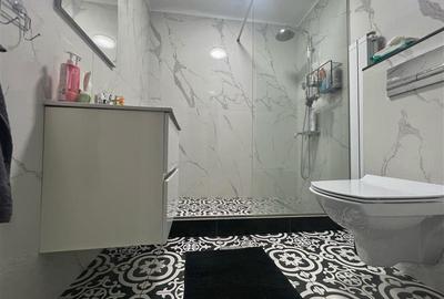 Apartament cu 3 camere  de vanzare  Tg Cucu - Podul de Fier, - 13