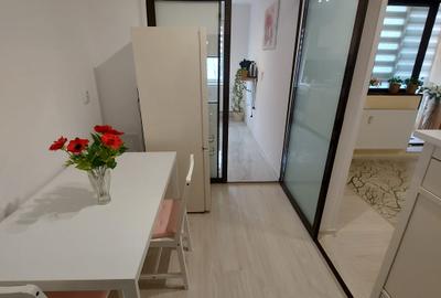 2 camere Dr Taberei Bucla- Totul renovat-Mobilat -Langa metrou - 11
