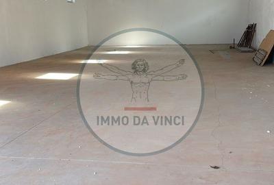 Hală Nouă 270 mp – Str. Depozitelor 56, Satu Mare - 1