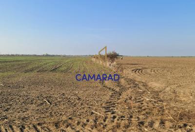 Teren intravilan de vanzare - zona industriala Domnesti/A1 - 1