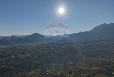 Comision 0% Teren de vânzare, zona Bran - Sohodol, 4000mp! - 4