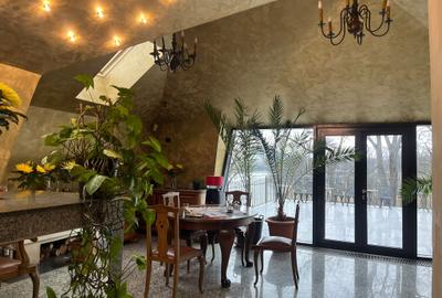 Reședință exclusivistă pe malul lacului - Exclusive Residence on the Lakefront - 53