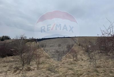 Teren intravilan 2307 mp în Salicea, zona premium, aproape de Cluj - 7
