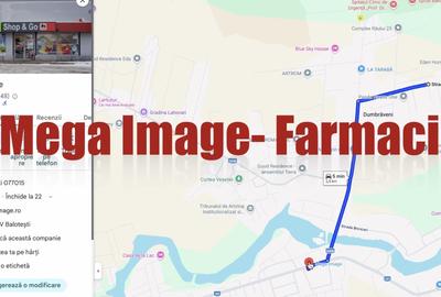 Vila pentru cei care vor spațiu, natură și acces rapid către București - 49