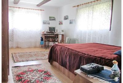 Casa deosebita cu gradina generoasa Vladeni - 11