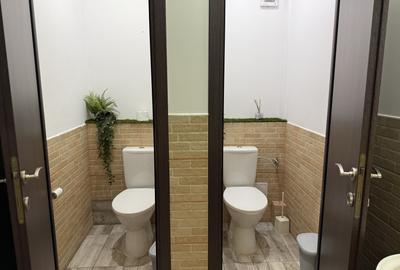 Spatiu comercial de inchiriat in palazu mare - 11