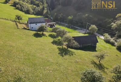 Teren constructii intravilan || Bran || Simon || 2668 mp - 9