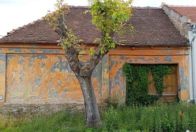 Casa in Moldova Veche - 3
