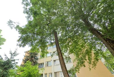Apartament cu 3 camere 7 Noiembrie, etaj 1 din 4, strada Păcii - 3