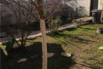 Casa practica 4 camere, gradina generoasa langa Bucuresti, Glina - 3