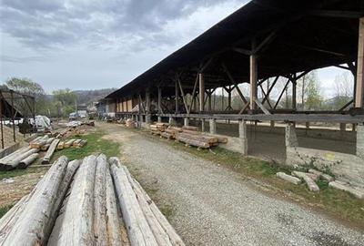 HALE-DEPOZIT DE VANZRE SI TEREN 10000 mp  AGAS jud.Bacau - 1