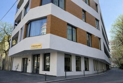 Spatiu comercial 230 mp, Bld. Ferdinand, parter cladire noua - 3