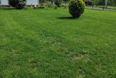 Vanc casa cu teren intravilan - 5