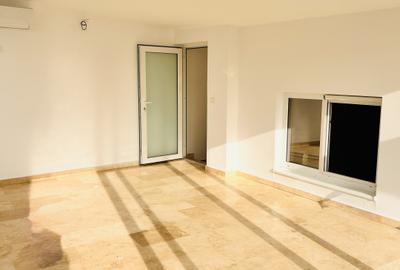 Închiriere apartament duplex – spațiu reprezentativ ultracentral, Parc Primarie - 1