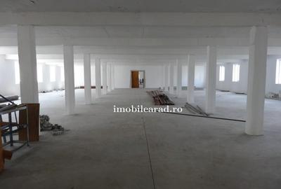 Teren 18.400 mp cu 4 hale P+E pe Artera principala vizavi de Metro-Momax - 12