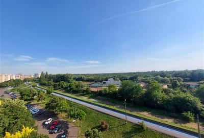 Apartament cu vedere la Mures, Micalaca 300 - 1
