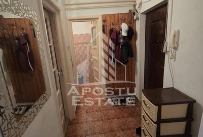 Apartament cu o camera spatios de vanzare, in zona Steaua, Timisoara - 3