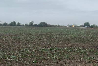 Teren Construcții intravilan de 22509 mp, în Tunari