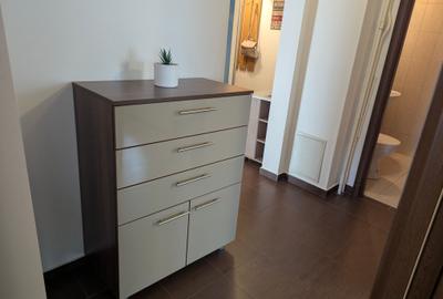 Apartament 7 minute de metrou Mihai Bravu/Dristor - 10