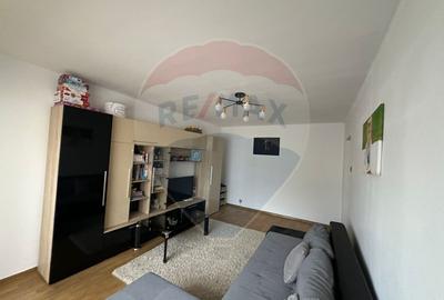 Apartament cu 2 camere de vânzare în zona Lapus Arges - 7