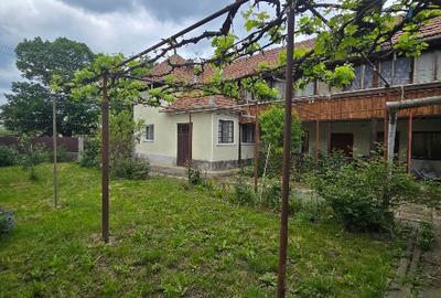 Aproape de Marginimea Sibiului, casa in inima unui parc - 4