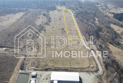 Teren extravilan 6.500 mp – Cârțișoara | Comision 0% - 2