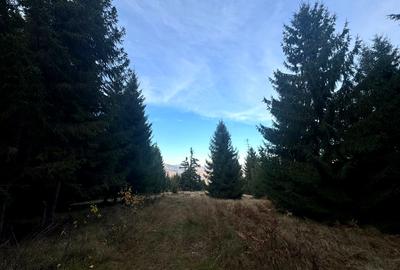 Vanzare 5,3 ha pasune deasupra Voronetului Suceava - Proiect Turistic - 27