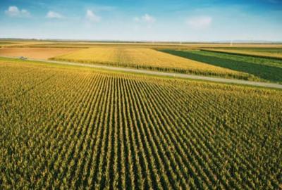 Teren intravilan, 1600 mp, utilitati in zona, Ampoita, Alba Iulia - 1