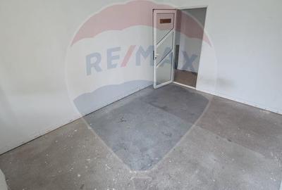 Ansamblu casa de locuit, hala productie ,spatiu de birouri si teren - 8