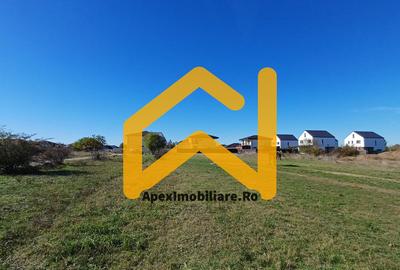 Corbeanca - Tamasi | Teren 1225mp, deschidere 44ml | Utilitati la 50m - 7