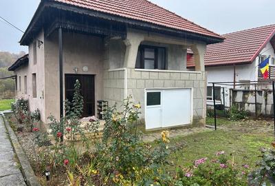 Casă P+M renovată, teren generos de 3000 m² – Bălești - 1