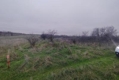 Teren Construcții extravilan de 2500 mp, în Cârcea