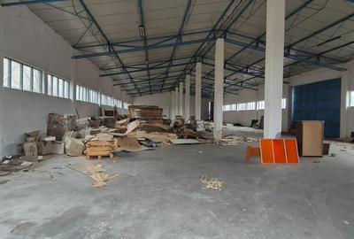 Hale industriale - 6