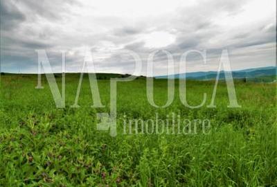 Teren extravilan pentru constructii de vanzare in Popesti - 1