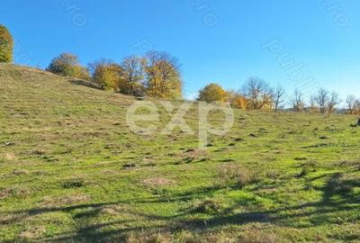 Vand Teren in Curtea de Arges suprafata 5000mp - 4
