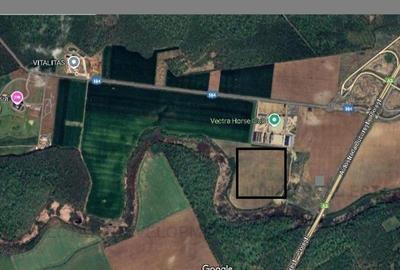 Teren Construcții intravilan de 60000 mp, în Snagov