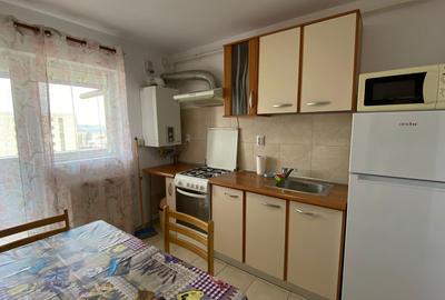 Apartament de închiriat, 2 camere, 44 mp, Calea Turzii zona Toyota - 4