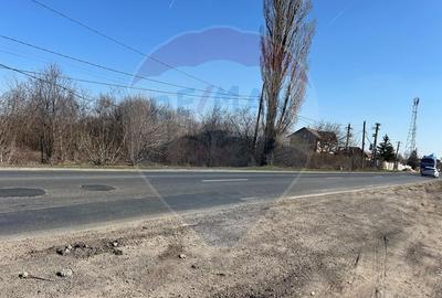 VANZARE Teren intravilan 40,000mp Cocani / Academia Titi Aur - 3