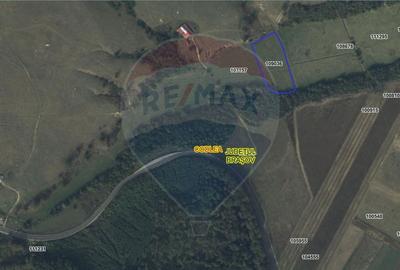 Teren 10,000mp Codlea / DN 1 - 7