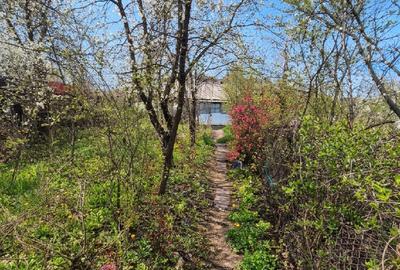 Casa teliuc vedere la lac - 1