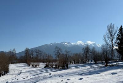 Teren intravilan  intre 500 si 1000 mp cu vedere panoramica   zona  Tohanita - 7