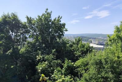 Vilă deosebită de vânzare în Gruia – panoramă spectaculoasă - 2