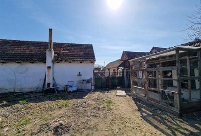 RECO Teren mare cu 2 case in Sabolciu, com. Sacadat - 15