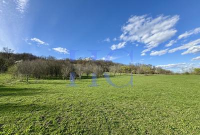 Teren | Sat Bradu, Jud. Sibiu | Ideal Cabane A-Frame & Parcelare - 5