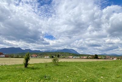 Teren plat P +4 Bran, panoramic munti, DN73, toate utilitatile - 4