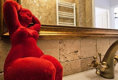 PROPRIETAR 2 camere Piata Victoriei-Dr.Iacob Felix - 8